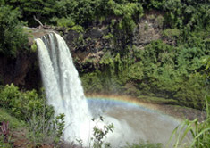 Kipu & Waimea Falls 