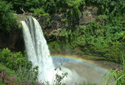 Waimea Falls Hawaii