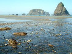 Pacific Ocean