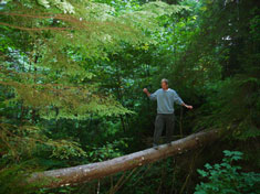 Robert balancing act